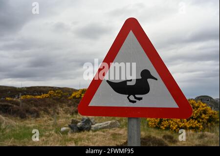 Traffic sign red triangle warning of ducks. Duck icon. Blurred rural background. Stock Photo
