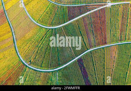 Stuttgart, Germany – April 7, 2020: Grabkapelle Württemberg Rotenberg Stock Photo