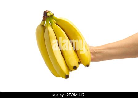 woman hand holding ripe bananas, isolated on white background. Stock Photo