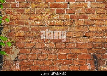Weathered stained old brick wall background. Red old brick wall. Stock Photo