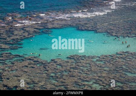 Snorkelers in shallow blue water explore the reef at Hanauma Bay Nature Preserve on Oahu island. Stock Photo