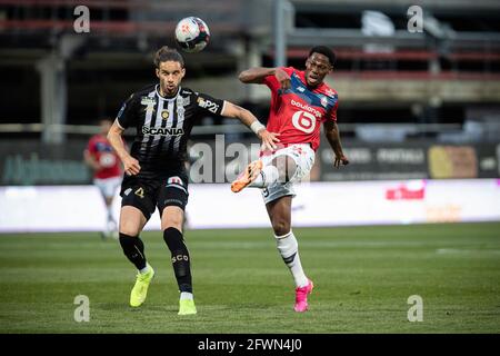 Angers, France. 23rd May, 2021. Lille's Jonathan David (R) vies with Angers' Mateo Pavlovic during a French Ligue 1 football match between Lille and Angers at Raymond Kopa stadium in Angers, France, on May 23, 2021. Credit: Aurelien Morissard/Xinhua/Alamy Live News Stock Photo