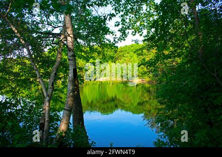 Reflections of lush green foliage and deep blue sky with a few white clouds in the waters of a small lake in East Brunswick, New Jersey -08 Stock Photo