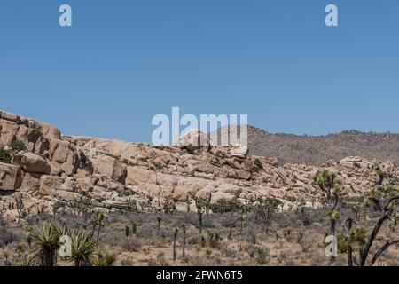 Scenic rock formation at the Joshua Tree National Park, Southern California Stock Photo