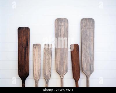 Old wooden canoe paddles decoration on white wood plank wall background. A variety of size and colors skin of blades and grips of wooden canoe paddles Stock Photo