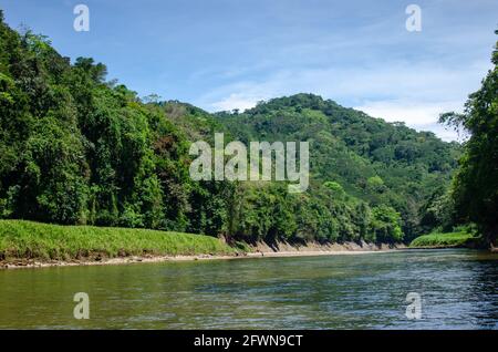 Chagres River landscacape Stock Photo