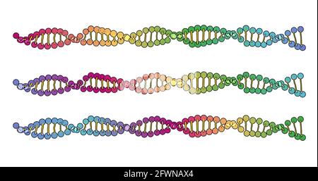 color visualization of DNA analysis isolated on white background 3d rotation animation, for montage and medical training Stock Photo