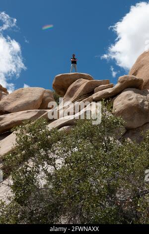 Man Stands Up On Tall Rock in Joshua Tree National Park Stock Photo