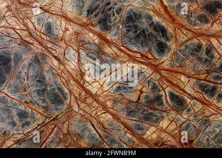Excellent Rainforest Green Extra - marble background, texture in modern colors as part of your interior. Stock Photo
