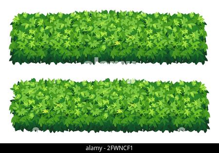 Vector garden bush isolated shrub hedge. Green bush cartoon grass shrubbery plant. Stock Vector