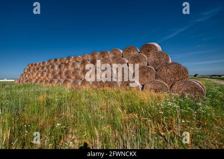 The straw bales are stacked in a large pile. Stock Photo