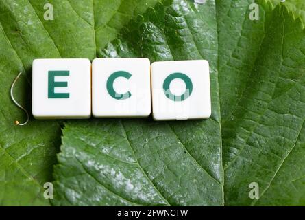 The word "eco" arranged with "Scrabble"-like blocks on a green leaf background. Stock Photo