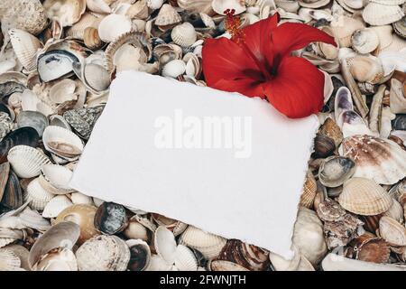 Closeup of white and gray pebble stones and sea shells on beach. Blank greeting card, invitation mockup with hibiscus flower. Ocean, seashore natural Stock Photo