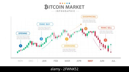 Infographic template for business. Bitcoin Timeline diagram with market phases, cryptocurrency presentation infographic. Stock Vector