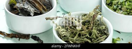 Sea vegetables panorama with various edible algae in bowls Stock Photo