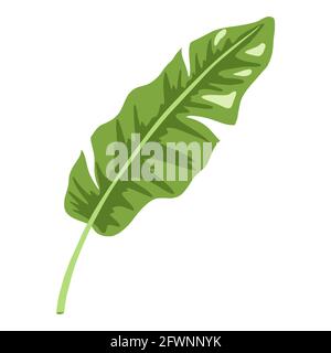 Exotic leaf icon. Floral vector template for logo, cosmetics, spa, beauty care products, stickers, prints Stock Vector