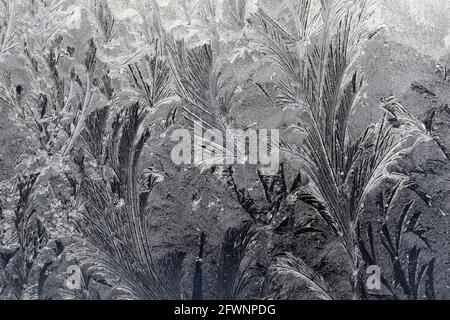 Frost patterns on window, village homestay near near Pangquangou Nature Reserve Area, Shanxi Province, China 5th Nov 2012 Stock Photo