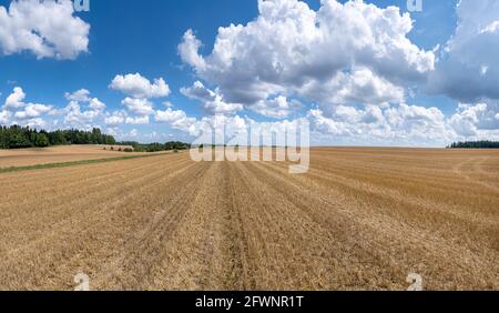 Stubble field panorama with impressive cloudscape Stock Photo