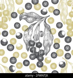 Hand drawn macadamia branch and kernels seamless pattern. Organic food vector illustration on white background. Retro nut illustration. Engraved style Stock Vector