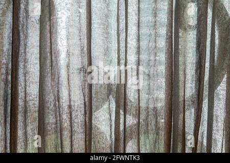 Black and gray tulle background with drapery background Stock Photo