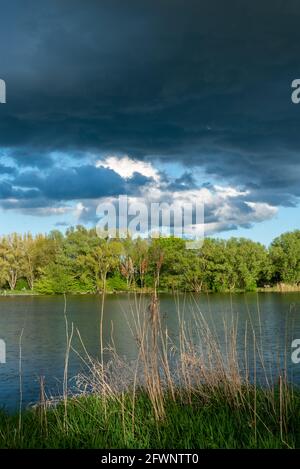 Lakeshore looking across the lake to the opposite bank with trees under a blue sky with developing storm clouds. Stock Photo