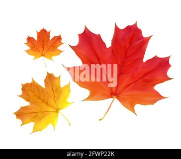 Colorful Vivid Autumn Falling Leaves. Vector Illustration Stock Vector