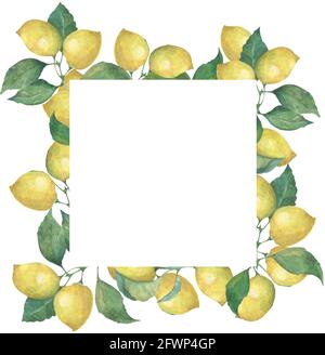 Watercolor square frame of lemons and green branches, leaves. Isolated ...