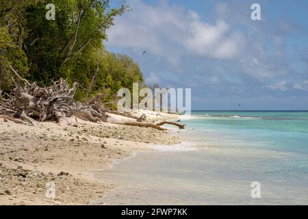 Lady Musgrave Island, Queensland, Australia Stock Photo