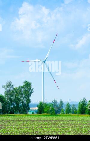 many windmills stand on a large field Stock Photo - Alamy