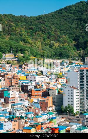 Gamcheon Culture Village colorful houses in Busan, Korea Stock Photo