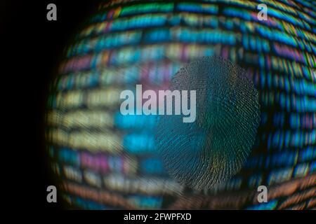 Nice fingerprint on the crumpled background of the code. Abstract computer script code. Software developer code. Stock Photo