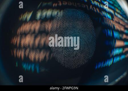 Nice fingerprint on the crumpled background of the code. Abstract computer script code. Software developer code. Stock Photo