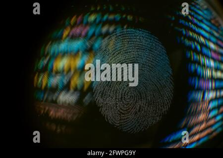 Nice fingerprint on the crumpled background of the code. Abstract computer script code. Software developer code. Stock Photo