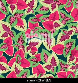 Foliage seamless pattern, leaves of coleus blume, pink and crimson. bright, juicy vector pattern Stock Vector