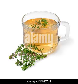 Glass cup of thyme tea and fresh thyme isolated on white background Stock Photo