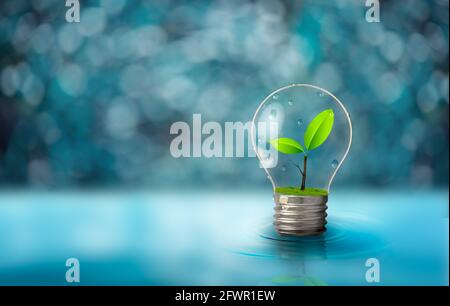 Light bulb with fresh green leaf inside on blurred light blue background. Ecological and energy concept. Stock Photo