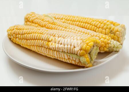 Plate with frozen corn on plate with white background Stock Photo