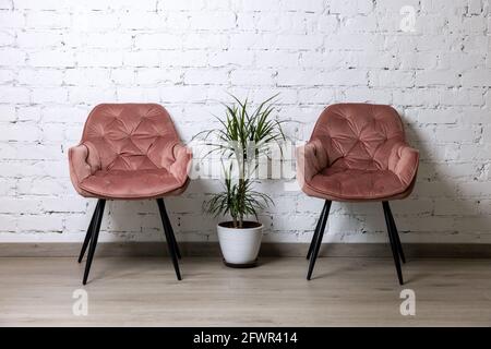 two upholstered pink chairs and palm plant by white brick wall. minimalism interior Stock Photo