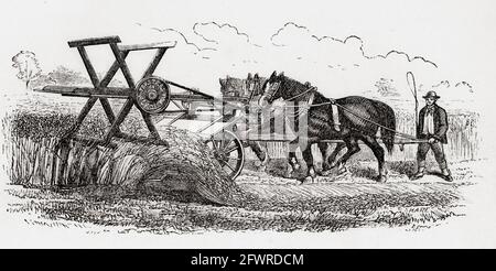 W. Crosskill's three horse reaping machine. From A Concise History of The International Exhibition of 1862, published 1862. Stock Photo