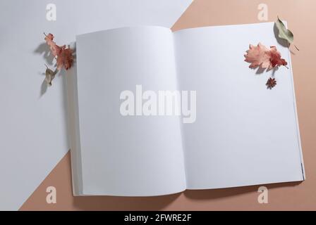 Composition of opened book with blank pages decorated with dry leaves on white and beige Stock Photo