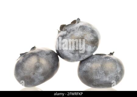 Three ripe dark purple blueberries, close-up, isolated on white. Stock Photo