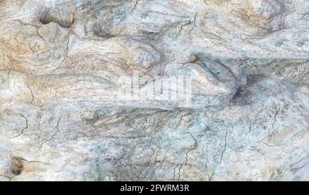 Structure of a tropical root made from several pictures, photographed in the studio Stock Photo