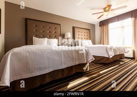 A spotless clean hotel room with two queen size beds covered with clean white bedding. Sun light penetrates through window. Upholstered head boards ar Stock Photo
