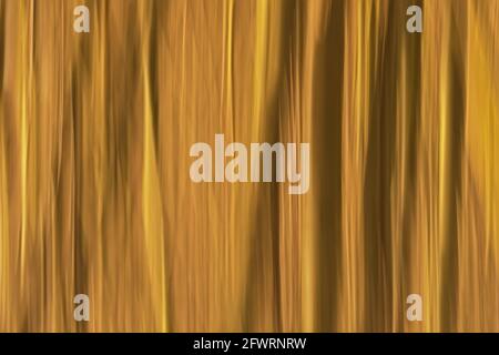 Soft motion blur background with vertical lines in light brown and yellow tints of trees through intentional camera movement Stock Photo