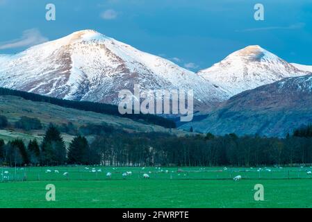 Ben More on the left and Stop Binnein to the right are Munro mountains near to the village of Crianlarich in Scotland. Stock Photo