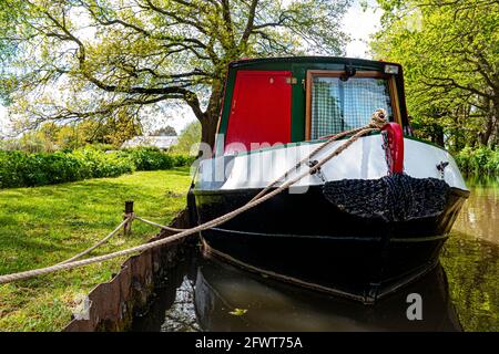 RIVER WEY Spring Narrowboat moored on the River Wey Navigations upstream from Papercourt Lock in early spring Surrey England UK Stock Photo