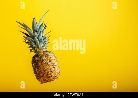 Pineapple levitation on color yellow background with copy space. Whole tropical fruit pineapple minimalism concept vacation summer background. Stock Photo