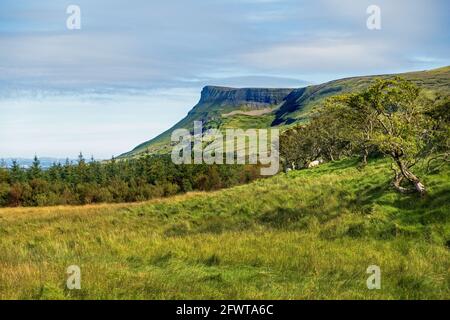 View on Dartry montains in Co, Sligo, Ireland, Benbulben countryside Stock Photo