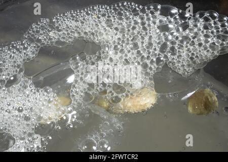 Macro Studio Photo of Lemonade Bubbles and Lemon Pits in  Glass.  Lemon Juice Mixed With CO2 Mineral Water. Stock Photo