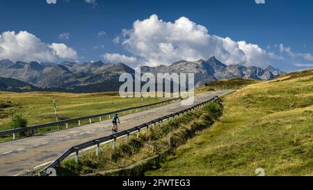 Montardo mountain on a summer morning, seen from the Pla de Beret road (Aran Valley, Catalonia, Spain, Pyrenees) ESP: Vistas del Montardo en verano Stock Photo